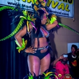 MaddColorsBandlaunch2016-1711