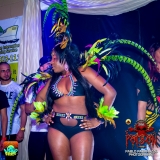 MaddColorsBandlaunch2016-1714