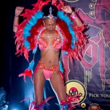 MaddColorsBandlaunch2016-1731