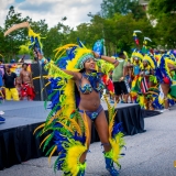 MADDCOLORSODR2018-5100