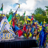 MADDCOLORSODR2018-5113