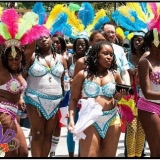 250345_1830252194452_1184771041_31699131_5619278_n