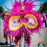 ATLMaddColors2015-0013