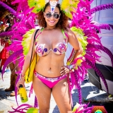 ATLMaddColors2015-0081