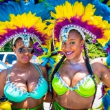 ATLMaddColors2015-0124-3