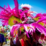 ATLMaddColors2015-0144