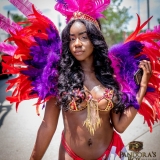 maddcolorsodr2017-3429