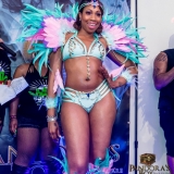 MCBandlaunch2017-5962