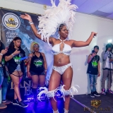 MCBandlaunch2017-6048