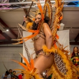 MCBandlaunch2018-2-9